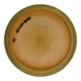Anax ESP (6)