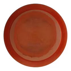 Savant Champion (7)