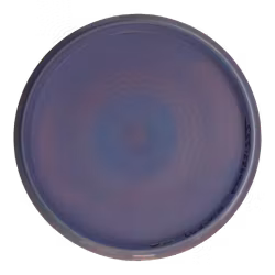 Roc USDGC Star (6)
