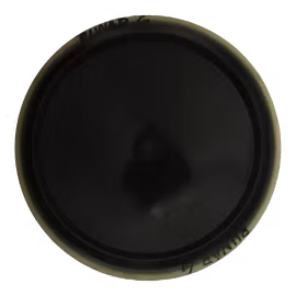 Insanity R2 Eclipse (6)