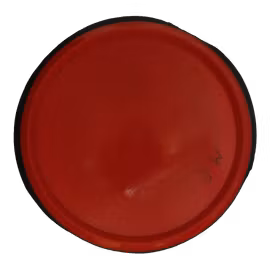 Servo Neutron (6)