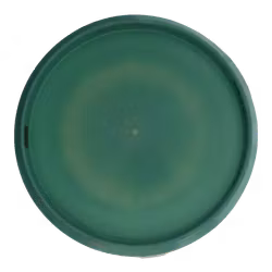 Zone Paul McBeth Six Claw ESP (7)