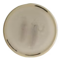 Sinus Prototype Soft Premium (6)