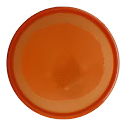 Envy Orange Scent Proton (9)