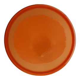 Envy Orange Scent Proton (9)