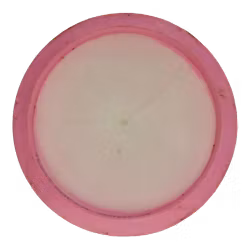 Saint Pro Kristin Tattar Gold Orbit (6)