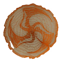 Sinus Timber Huk Opto (7)