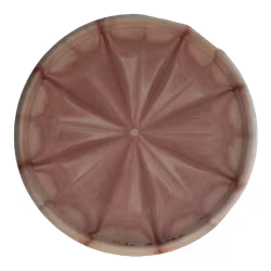 Warden Classic Soft (6)