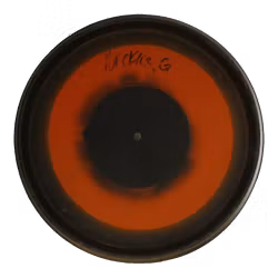 Sockibomb Slammer Raptor Eye Classic Supreme Orbit (6)