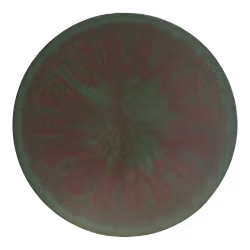 Zone OS Brodie Smith Tour Series ESP Swirl (7)