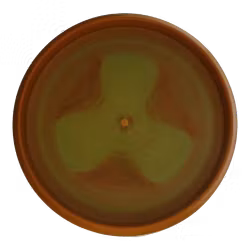 Faith Prototype Sense (8)