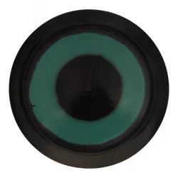 Rive Raptor Eye Grand (6)