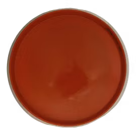 Proxy Neutron (7)