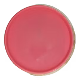 Reactor Neutron (8)