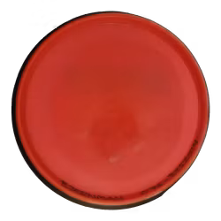 Detour Neutron (7)