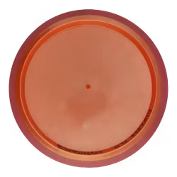 Insanity Plasma (8)
