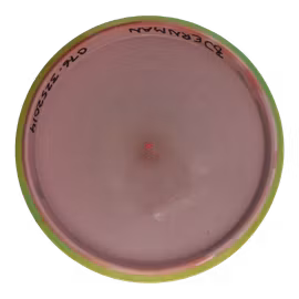 Hex Neutron (7)
