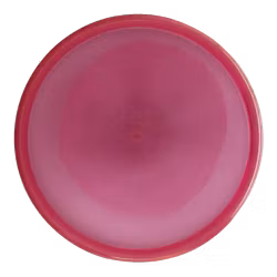 Ruby Opto Glimmer (6)