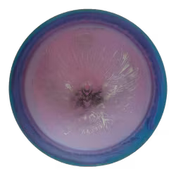 Cloudbreaker Gannon Buhr DNA Meta (6)
