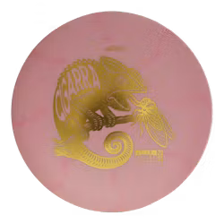 Cigarra DGLO 2025 ESP (6)
