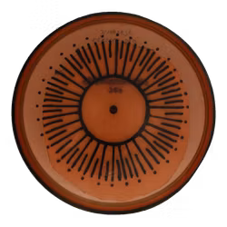 Ion Proton (6)