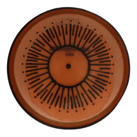 Ion Proton (6)