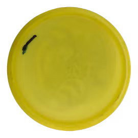 Buzzz Big Z (6)