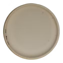 PA-3 300 Soft (6)