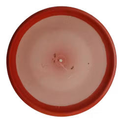 Pure Zero Medium Orbit (6)