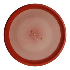 Pure Zero Medium Orbit (6)