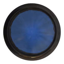 Bear Tournament Orbit (7)