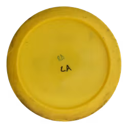 Salt Steady (6)