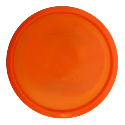 Caiman Champion (8)