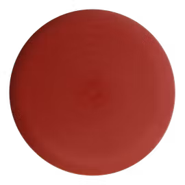 Aviar DX (8)