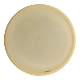 Focus Ledgestone 2023 UV Blend Z (8)