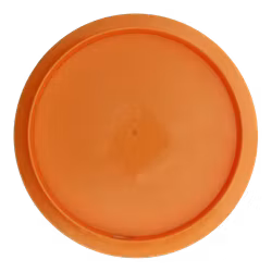 Cicada Big Z (6)