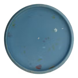 Zone Jawbreaker (6)