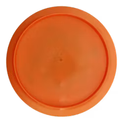 Anax Big Z (8)