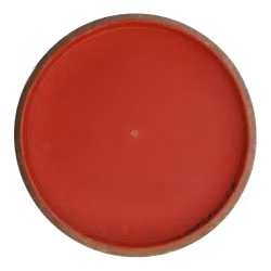 Pixel Electron Soft (6)