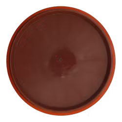 Paradox Neutron (6)