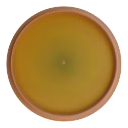 Despair Soft Ration (9)