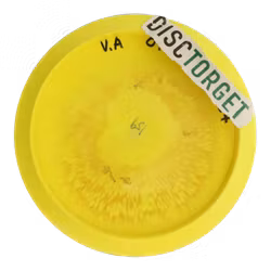 TeeBird Star (7)