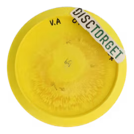 TeeBird Star (7)