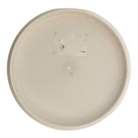 Aviar DX (8)