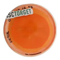 Pure Opto Ice Orbit (6)