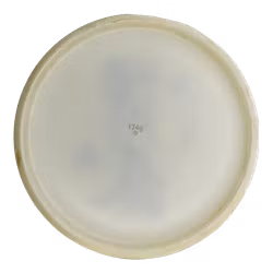 Luna Big Z (6)