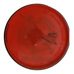 Watt Neutron (7)