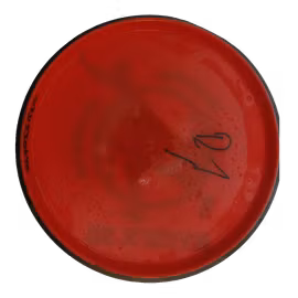 Watt Neutron (7)