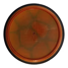 Shock Patent Pending Plasma (7)