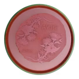 Proxy Silva Saarinen Particle Glow Proton Soft (6)